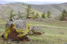 tazeranskaja steppe666.jpg